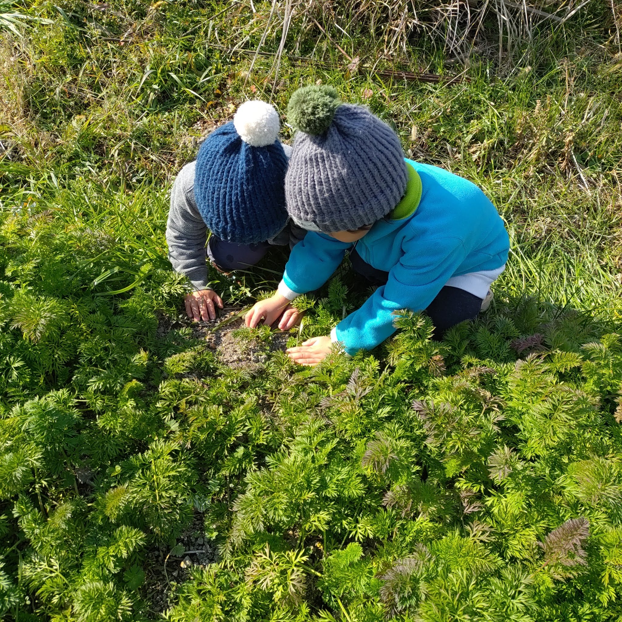 野菜を通して有意義な時間を​